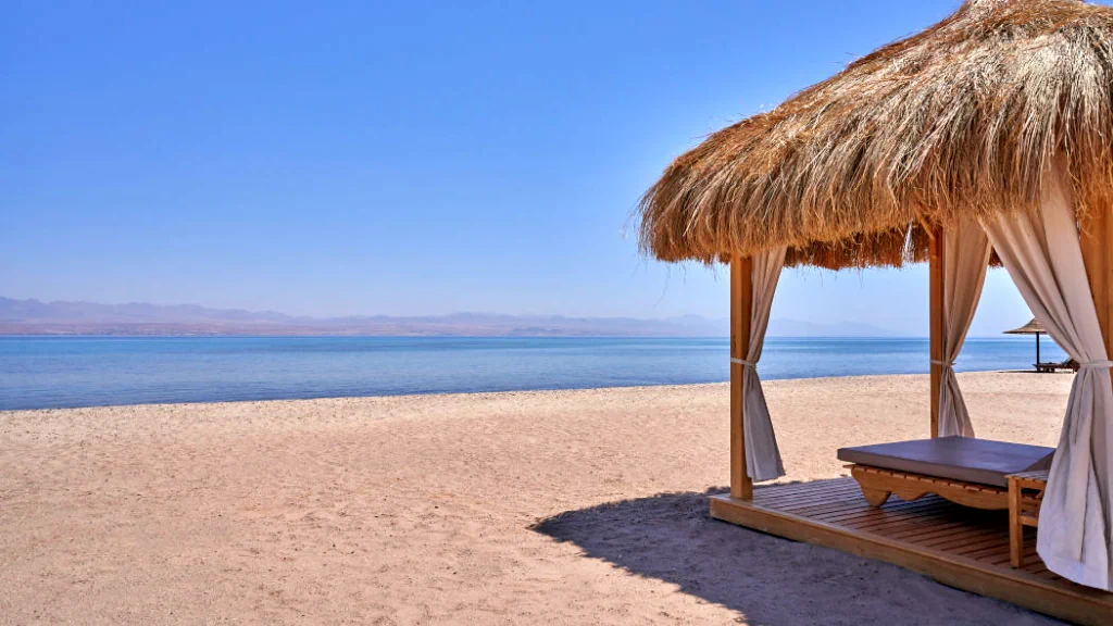 الفندق ذا باي فيو ريزورت - طابا